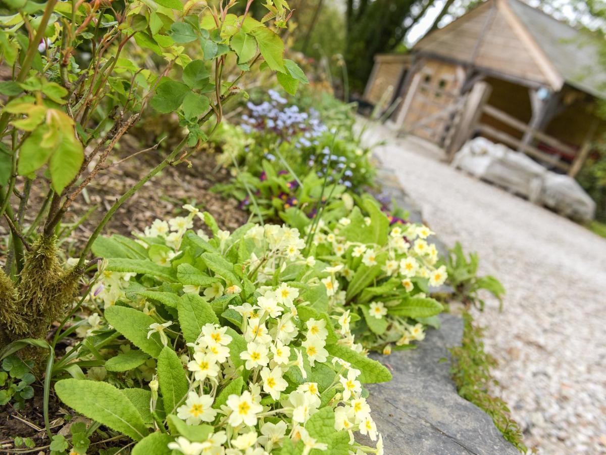 Mimi'S Cottage Liskeard Exteriör bild